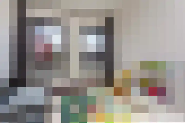Dotterbloemkade 32 Vleuten thumbnail 20