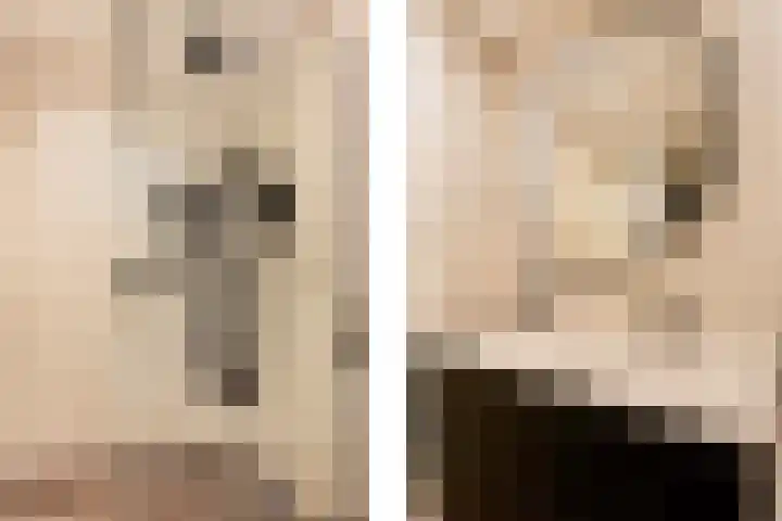 Dotterbloemkade 32 Vleuten thumbnail 25