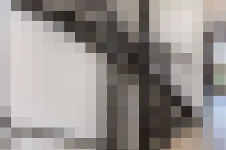 Dotterbloemkade 32 Vleuten thumbnail 26