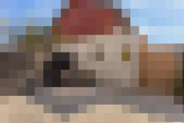 Dotterbloemkade 32 Vleuten thumbnail 36