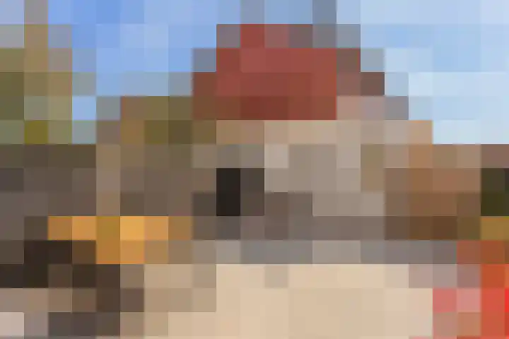 Dotterbloemkade 32 Vleuten thumbnail 38
