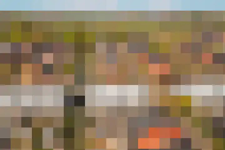 Dotterbloemkade 32 Vleuten thumbnail 42