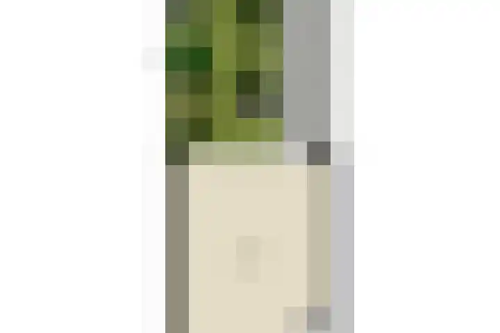 Dotterbloemkade 32 Vleuten thumbnail 44
