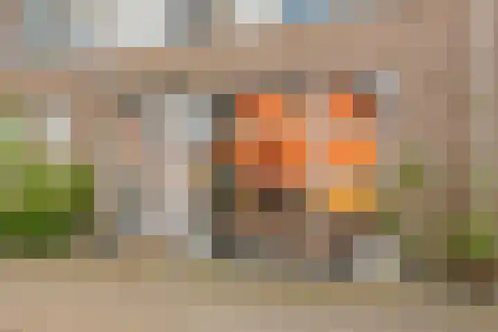 Dotterbloemkade 32 Vleuten thumbnail 6