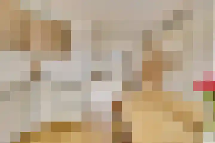 Dotterbloemkade 34 Vleuten thumbnail 15