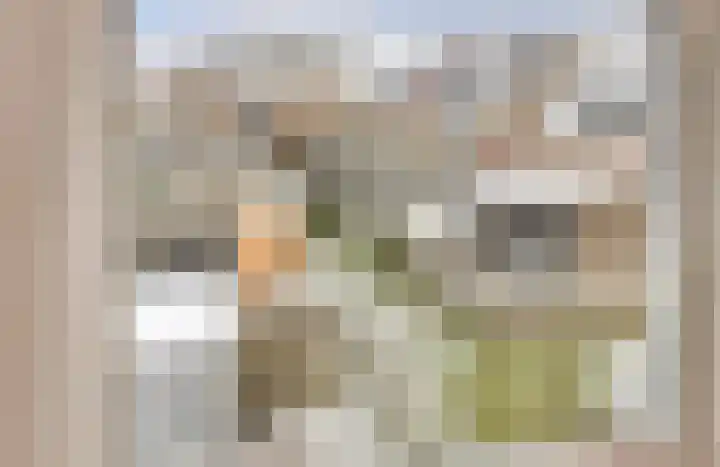 Dotterbloemkade 34 Vleuten thumbnail 34