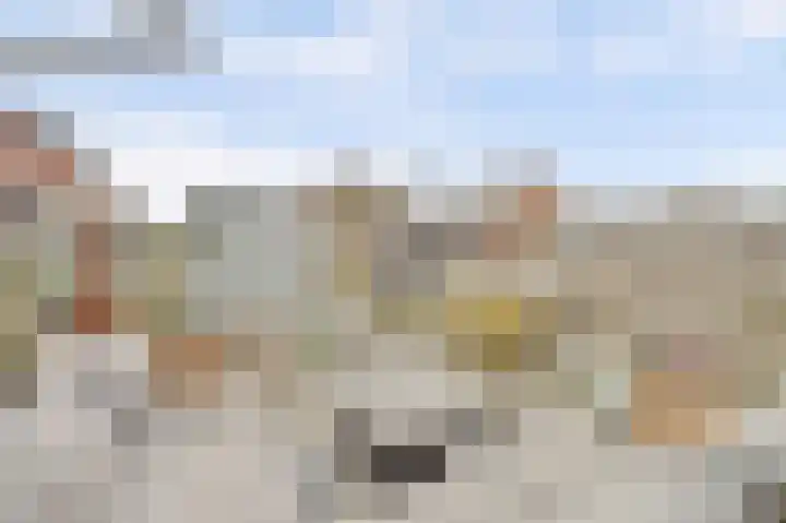 Dotterbloemkade 34 Vleuten thumbnail 36
