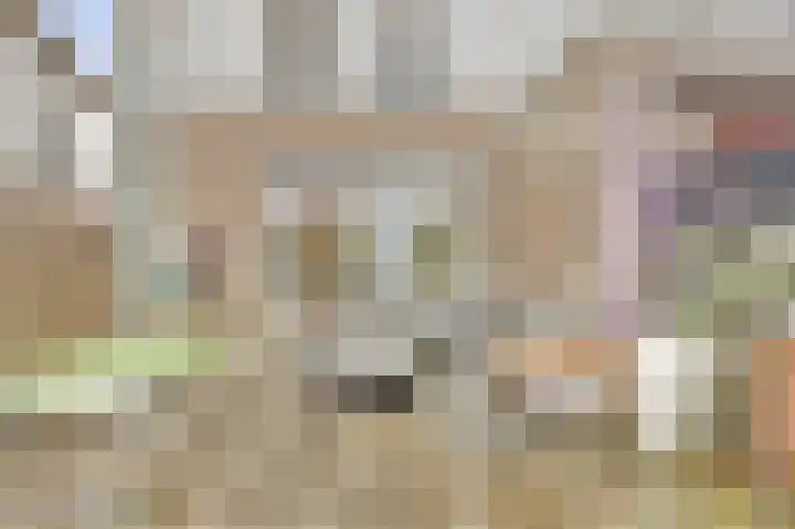 Dotterbloemkade 34 Vleuten thumbnail 38