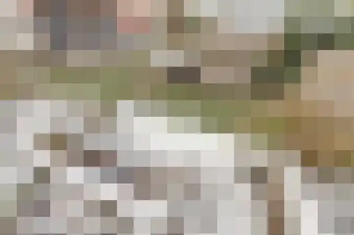 Dotterbloemkade 34 Vleuten thumbnail 41