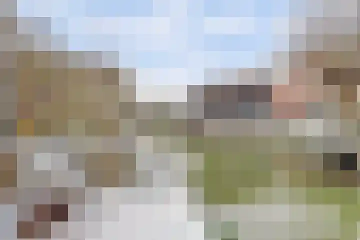 Dotterbloemkade 34 Vleuten thumbnail 43