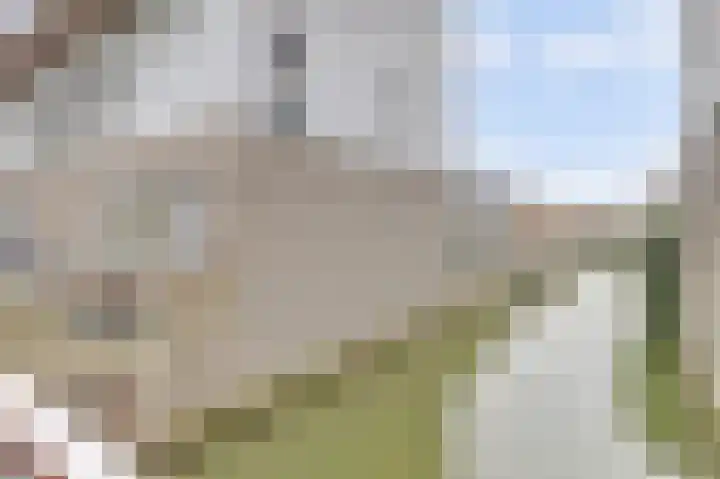 Dotterbloemkade 34 Vleuten thumbnail 46