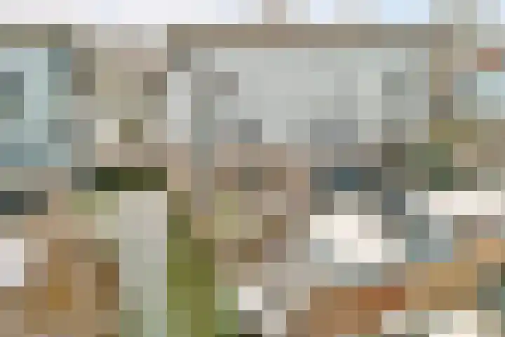 Dotterbloemkade 34 Vleuten thumbnail 50