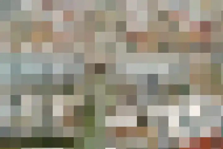 Dotterbloemkade 34 Vleuten thumbnail 51