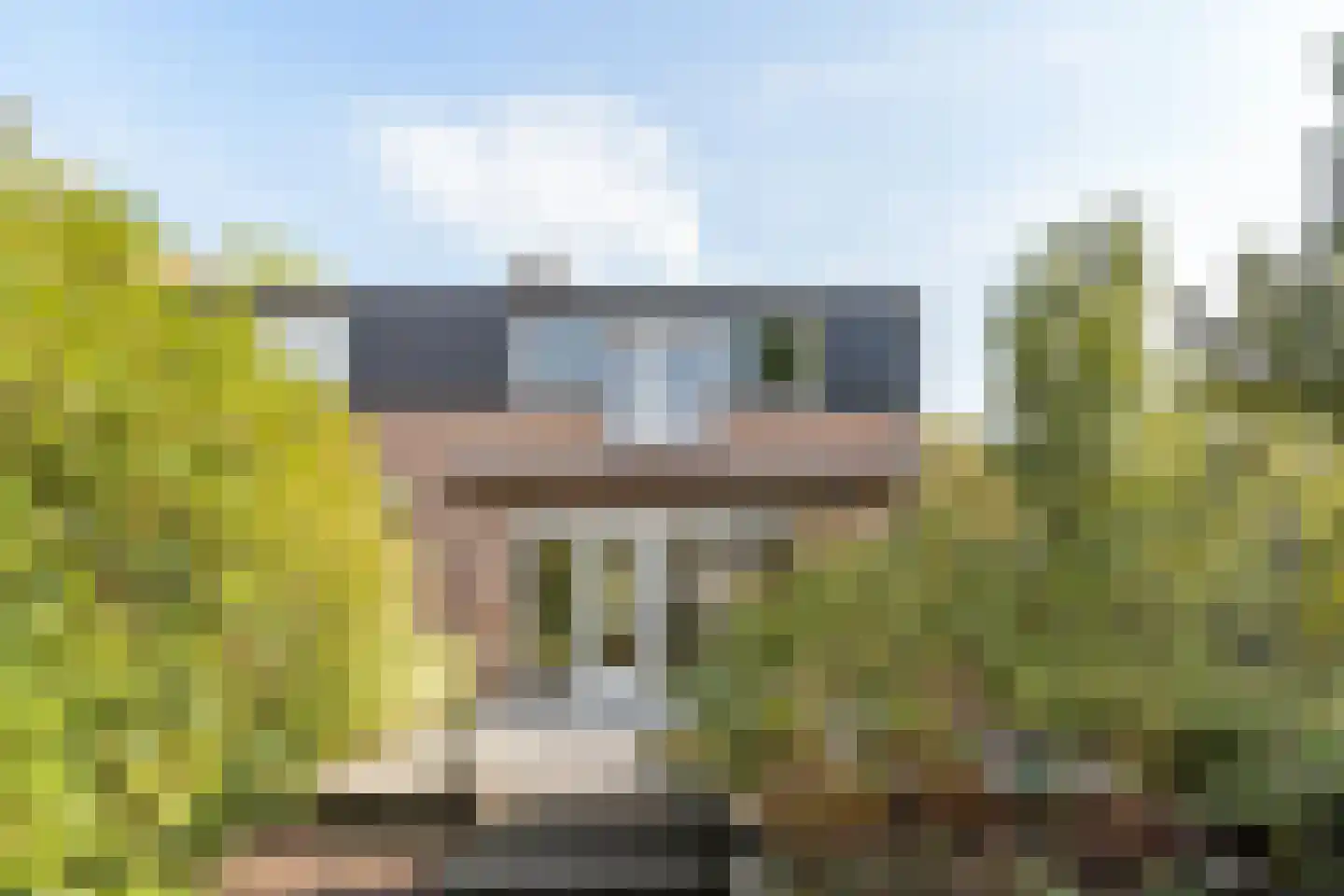 Dotterbloemkreek 1 Leiderdorp thumbnail 16