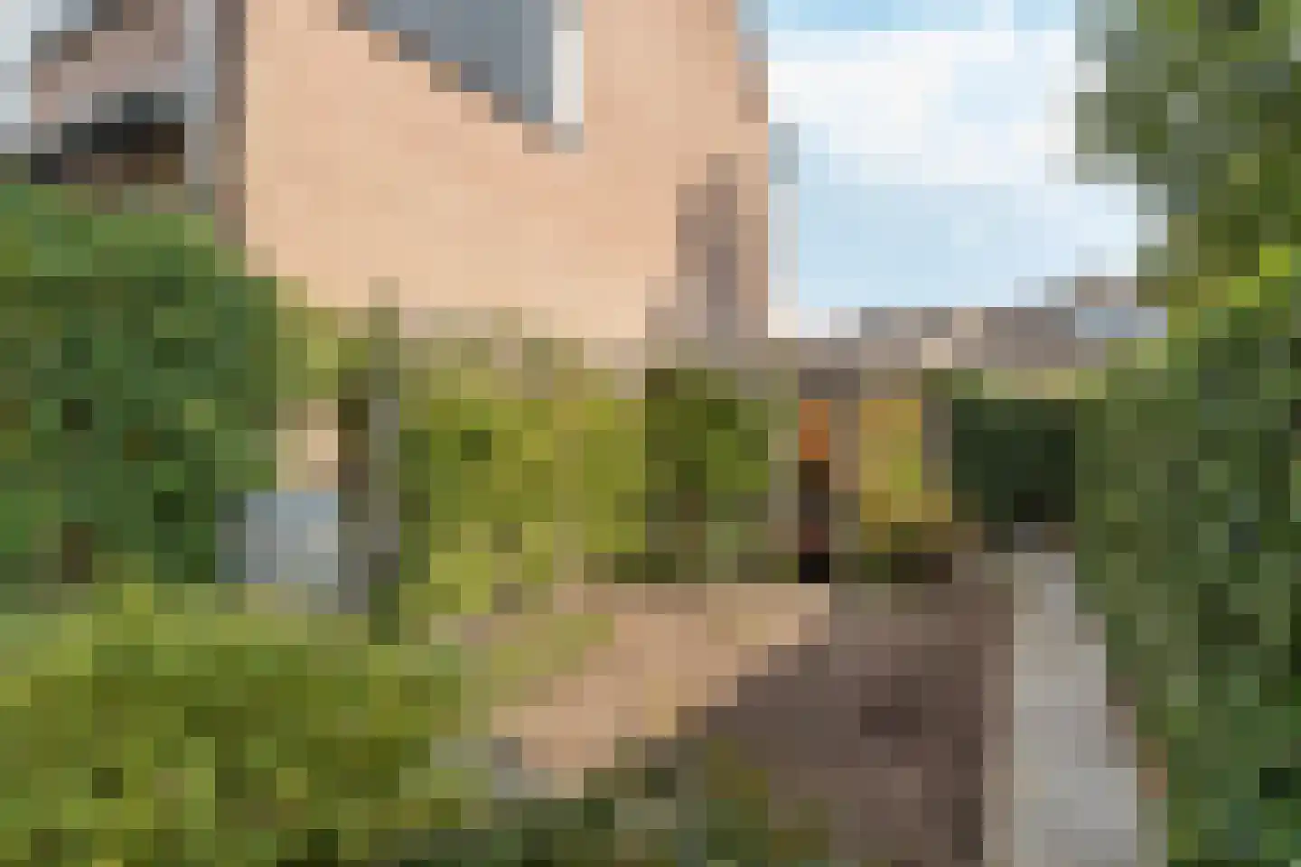 Dotterbloemkreek 1 Leiderdorp thumbnail 18
