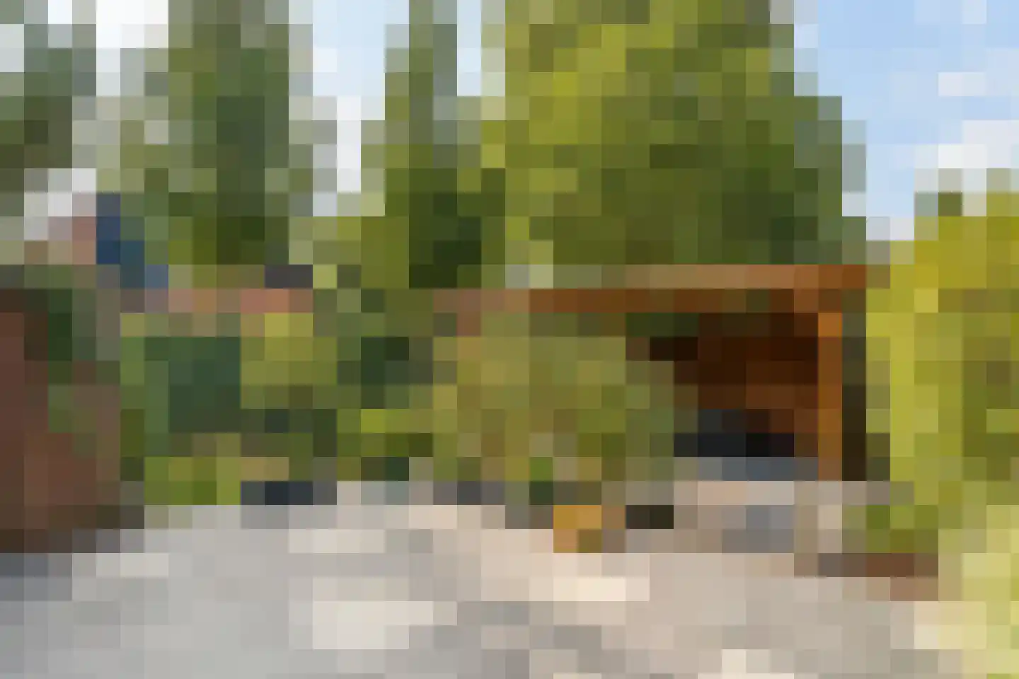 Dotterbloemkreek 1 Leiderdorp thumbnail 19