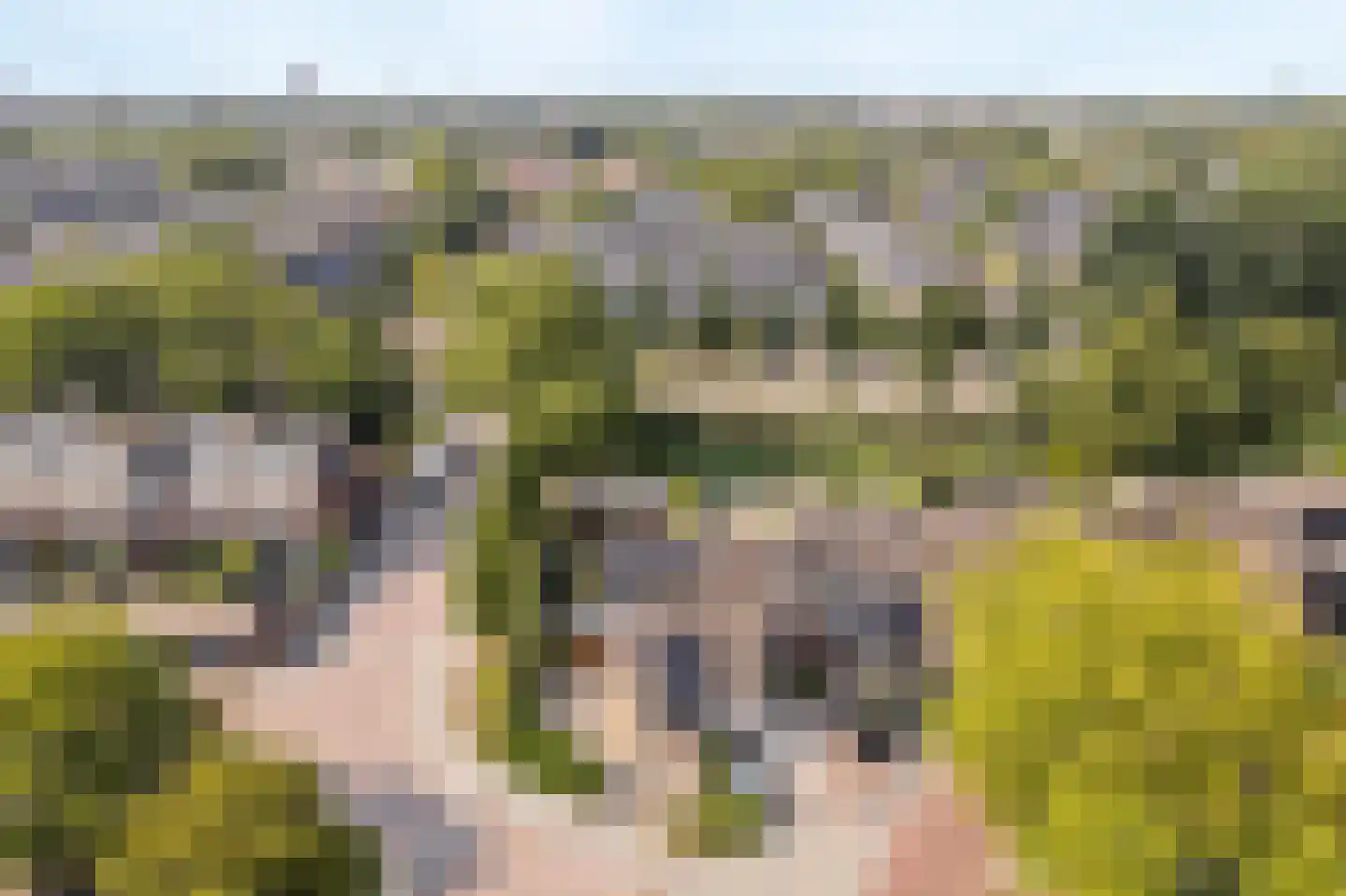 Dotterbloemkreek 1 Leiderdorp thumbnail 36