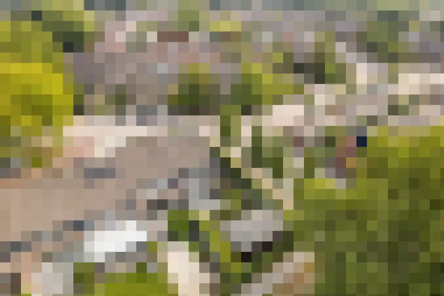 Dotterbloemkreek 1 Leiderdorp thumbnail 37