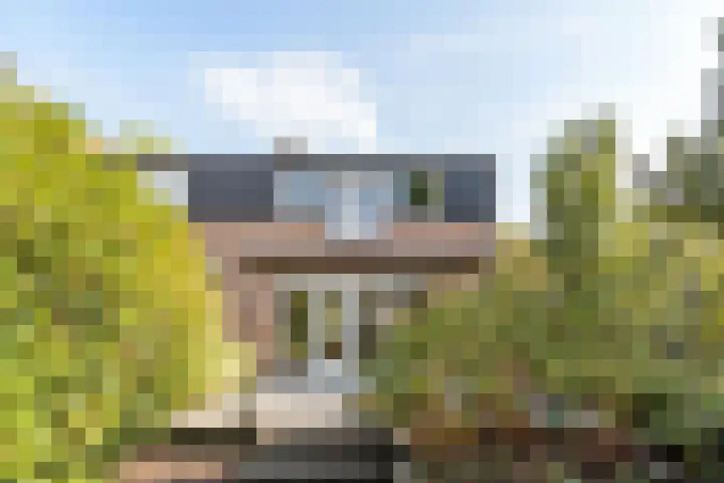 Dotterbloemkreek 1 Leiderdorp thumbnail 38