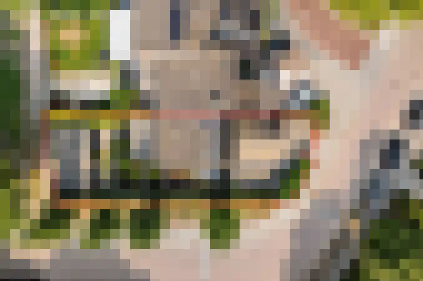 Dotterbloemkreek 1 Leiderdorp thumbnail 39