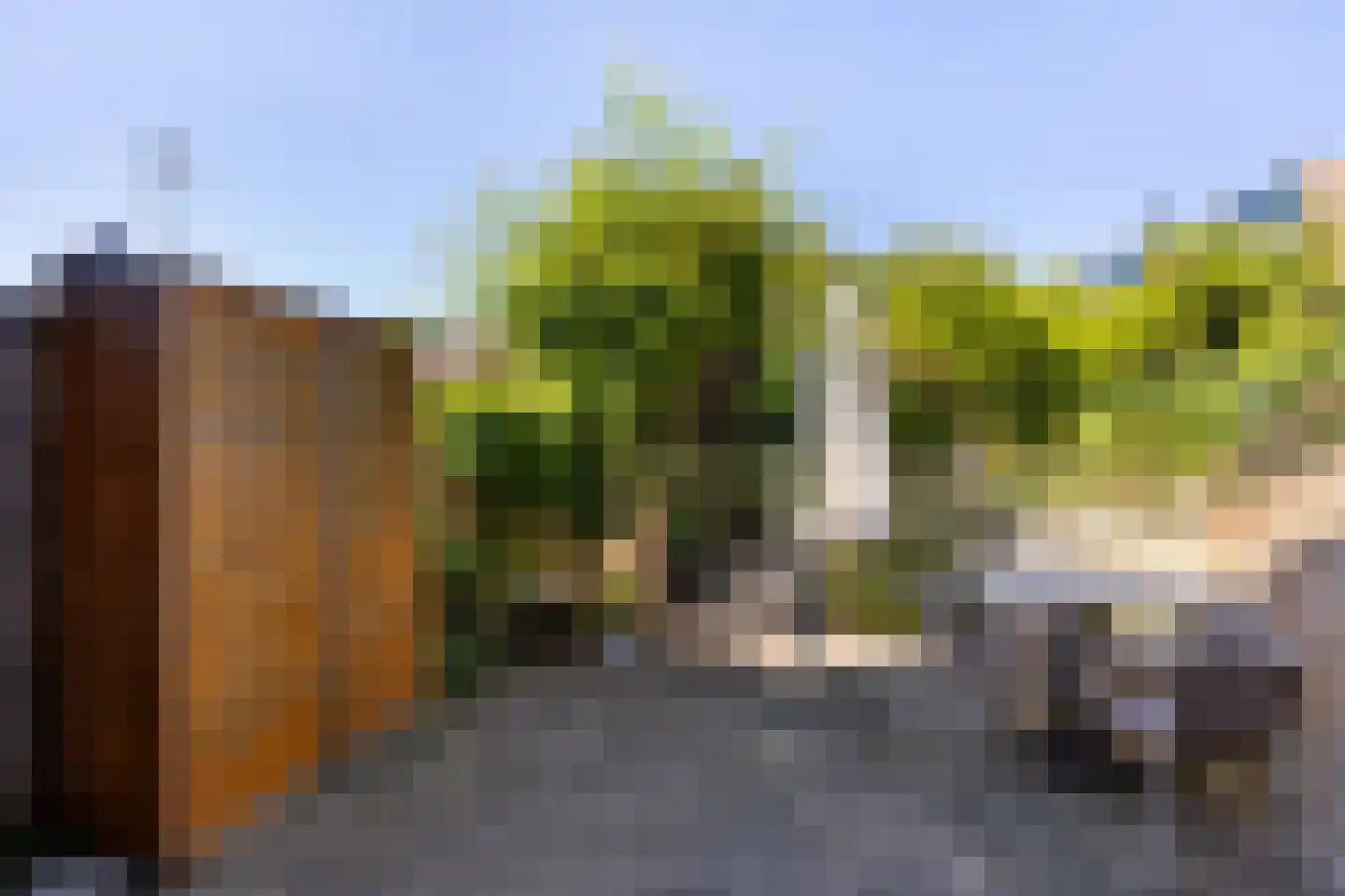 Dotterbloemkreek 36 Leiderdorp thumbnail 20