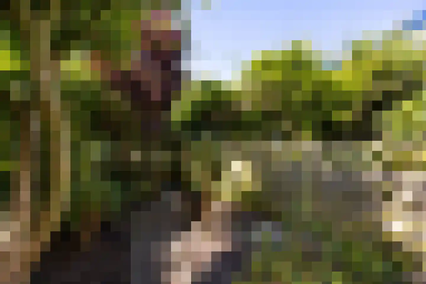 Dotterbloemkreek 36 Leiderdorp thumbnail 21