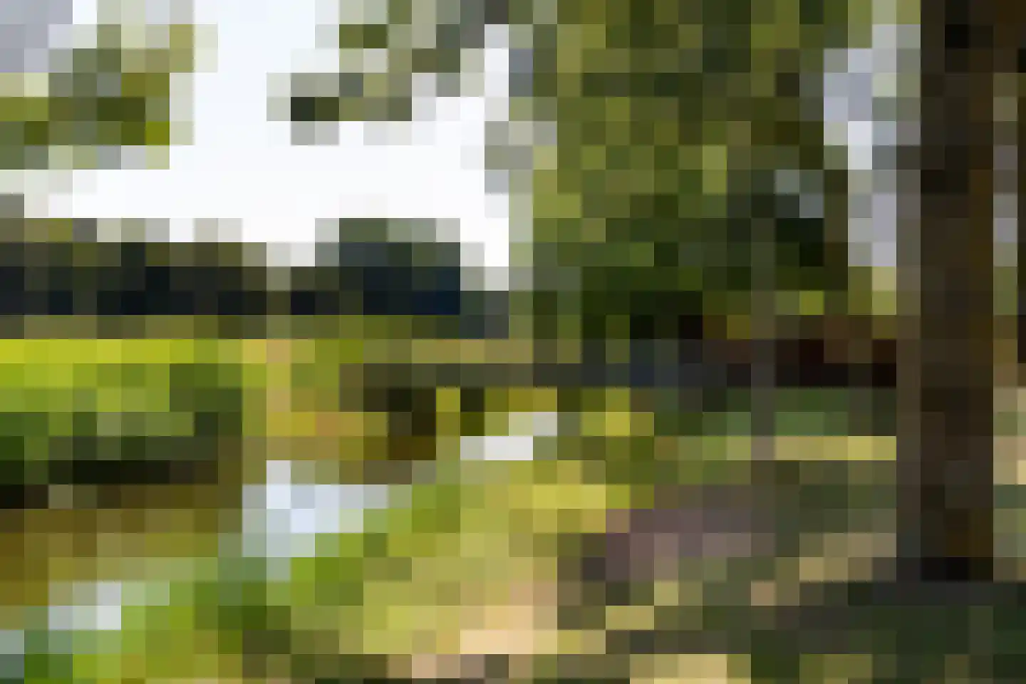 Dotterbloemkreek 36 Leiderdorp thumbnail 25
