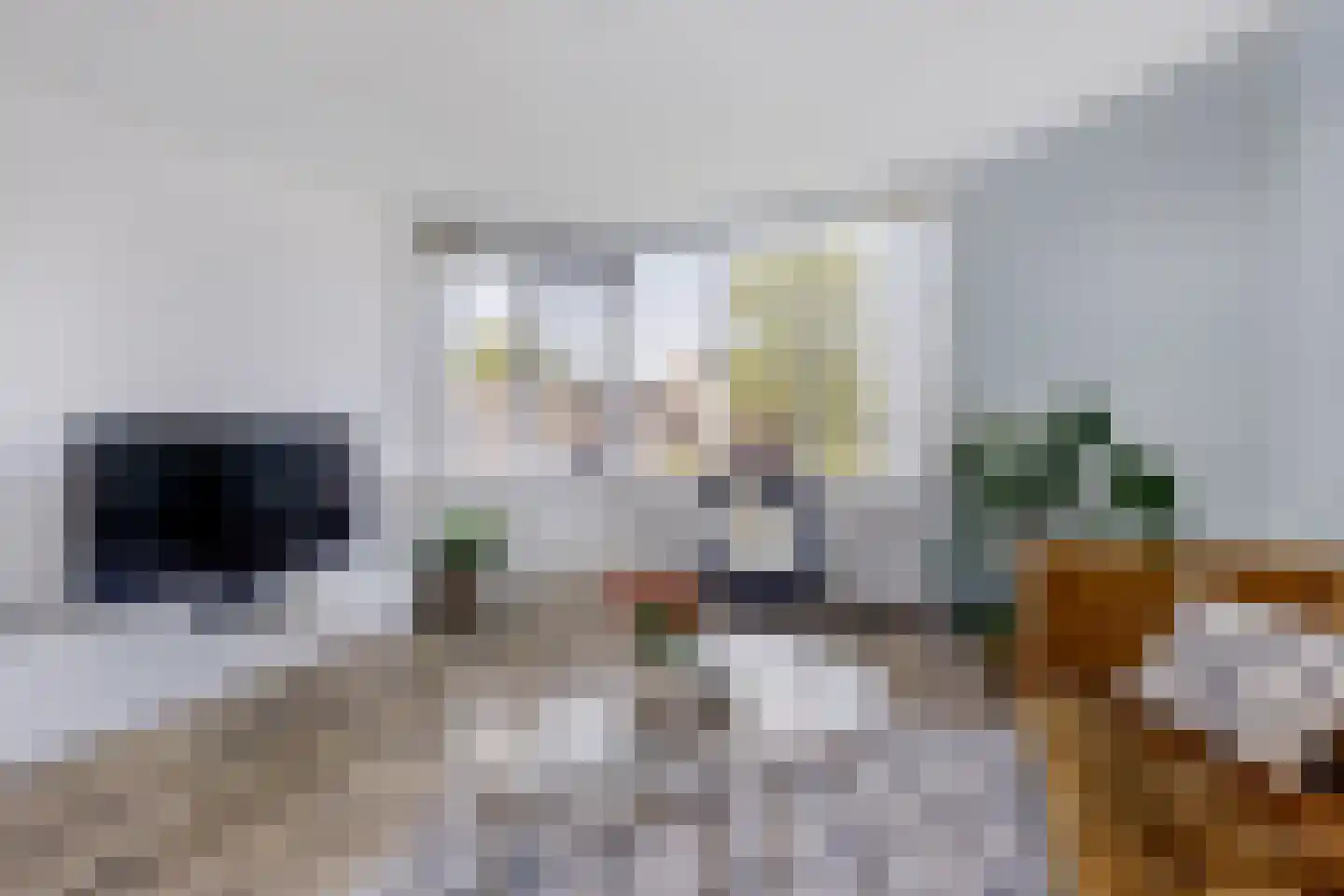 Dotterbloemkreek 36 Leiderdorp thumbnail 4
