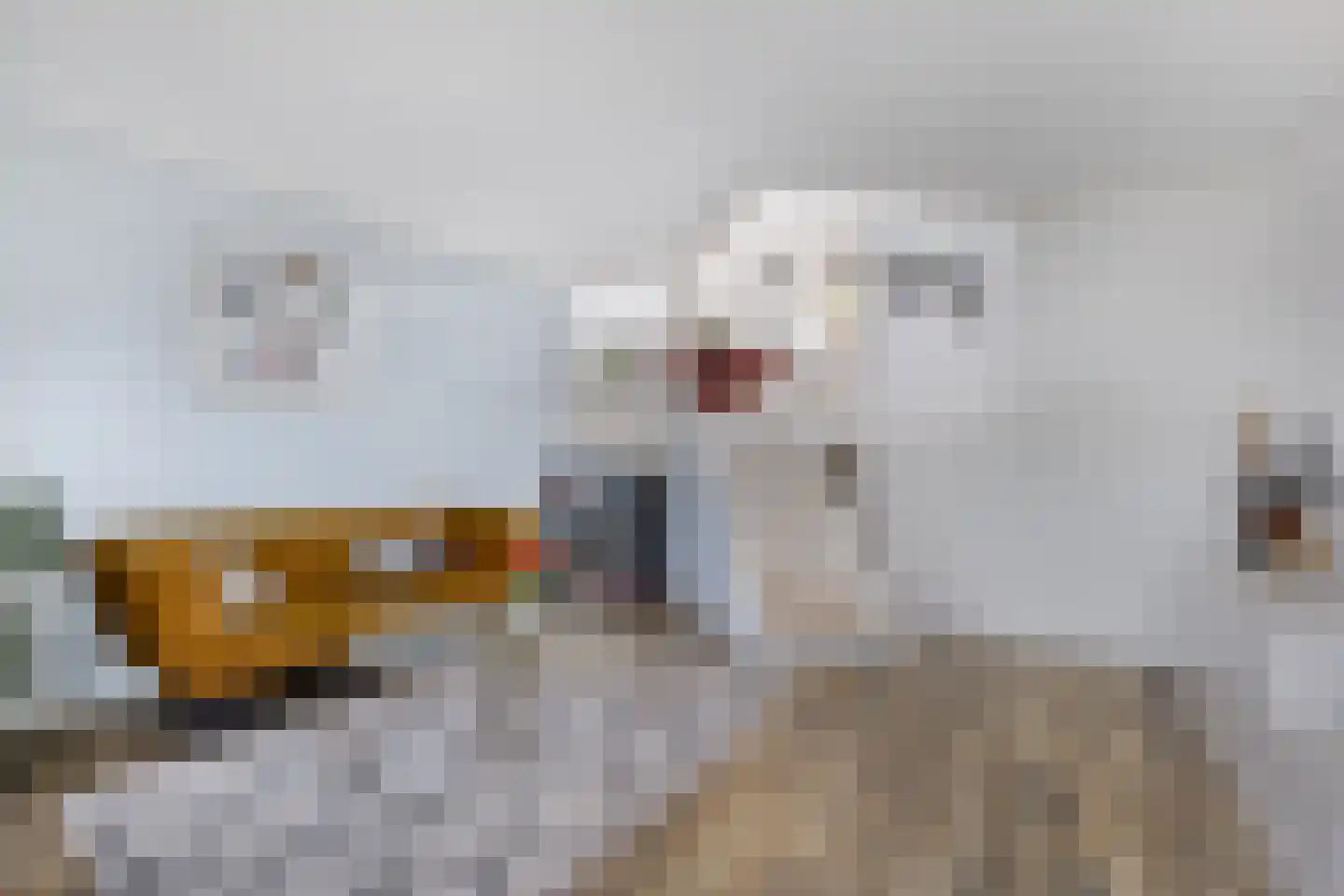 Dotterbloemkreek 36 Leiderdorp thumbnail 5