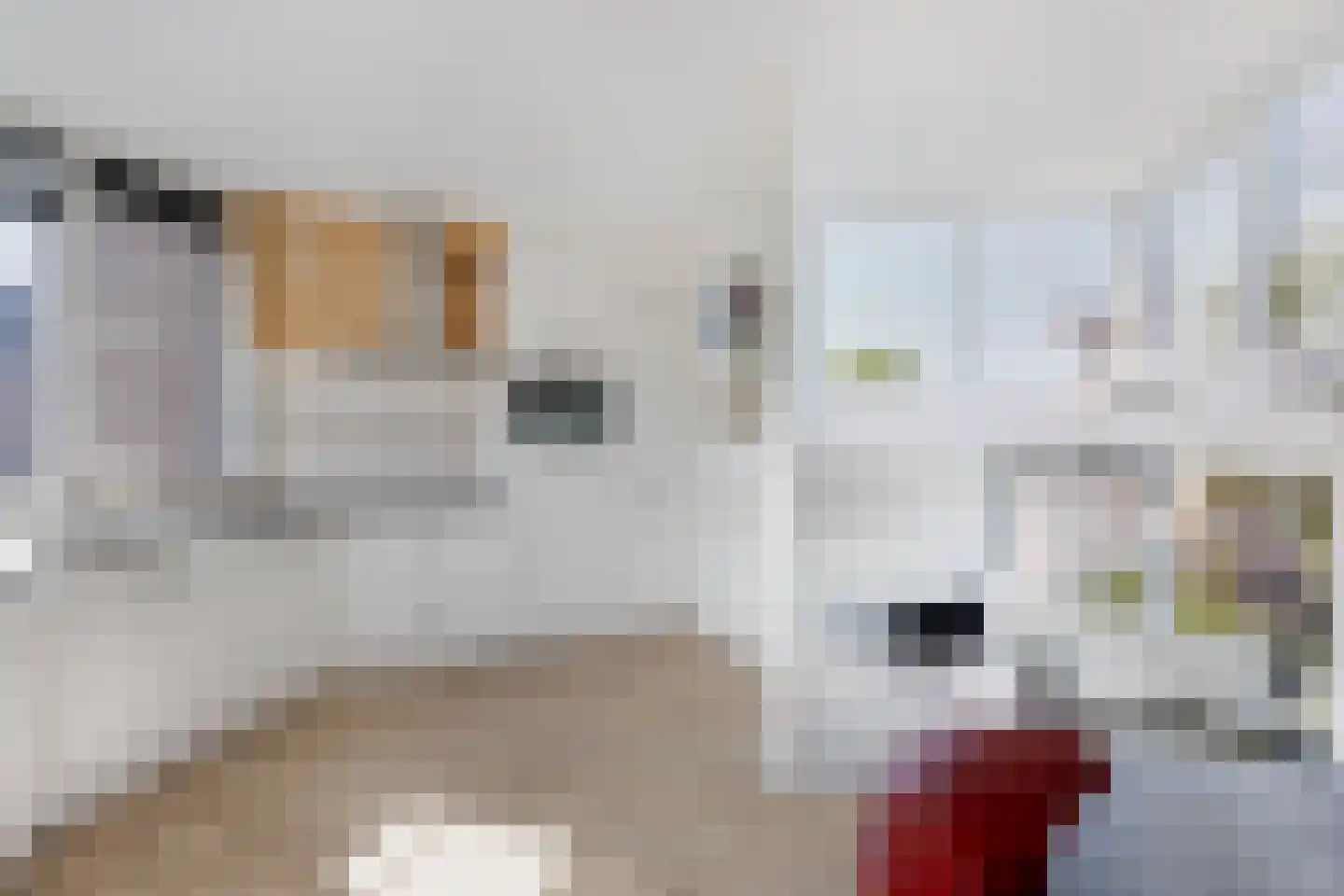 Dotterbloemkreek 36 Leiderdorp thumbnail 9