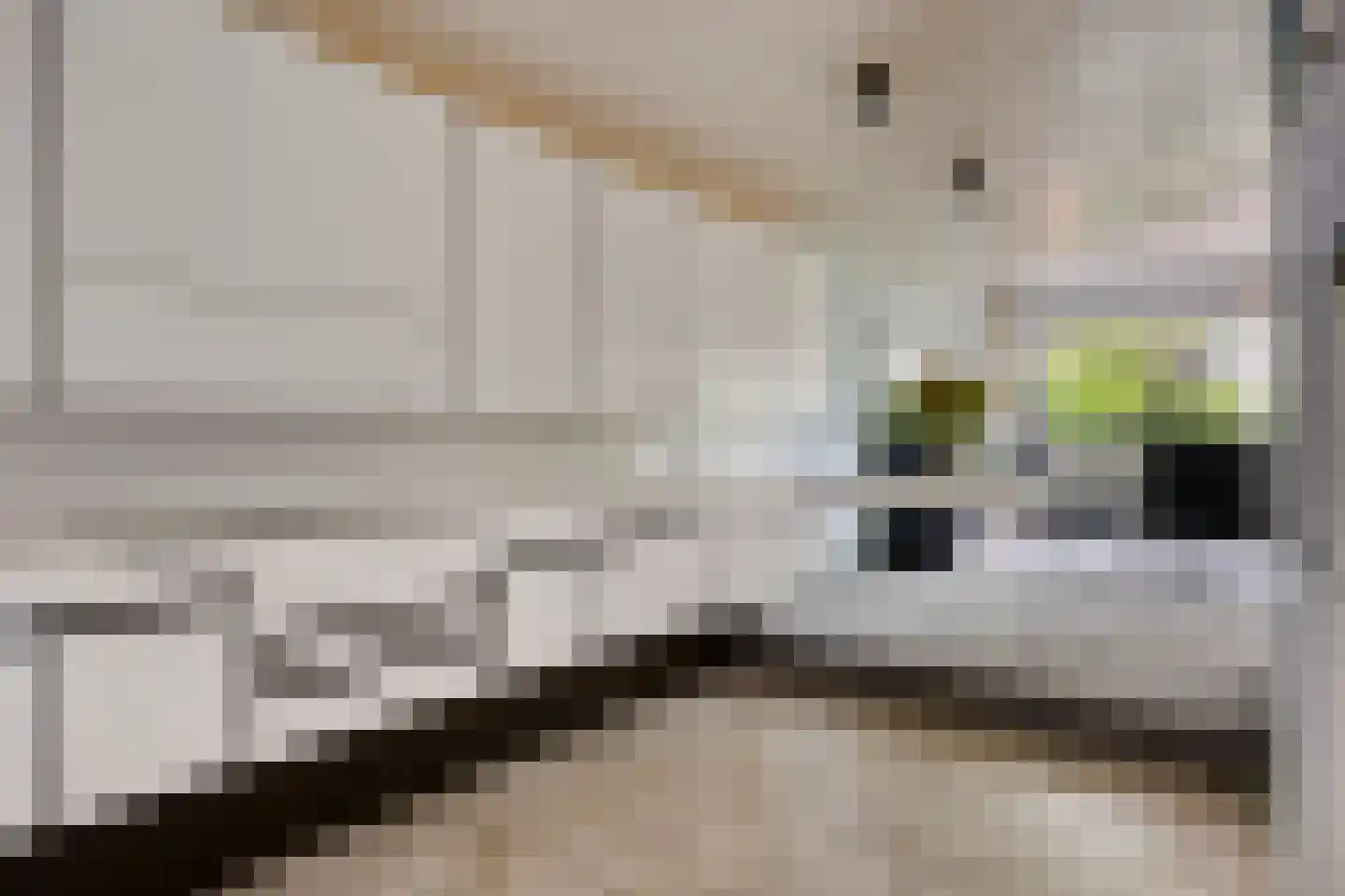 Dotterbloemkreek 41 Leiderdorp thumbnail 15
