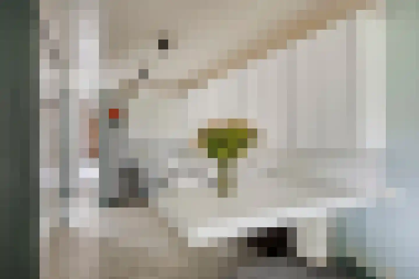 Dotterbloemkreek 41 Leiderdorp thumbnail 16