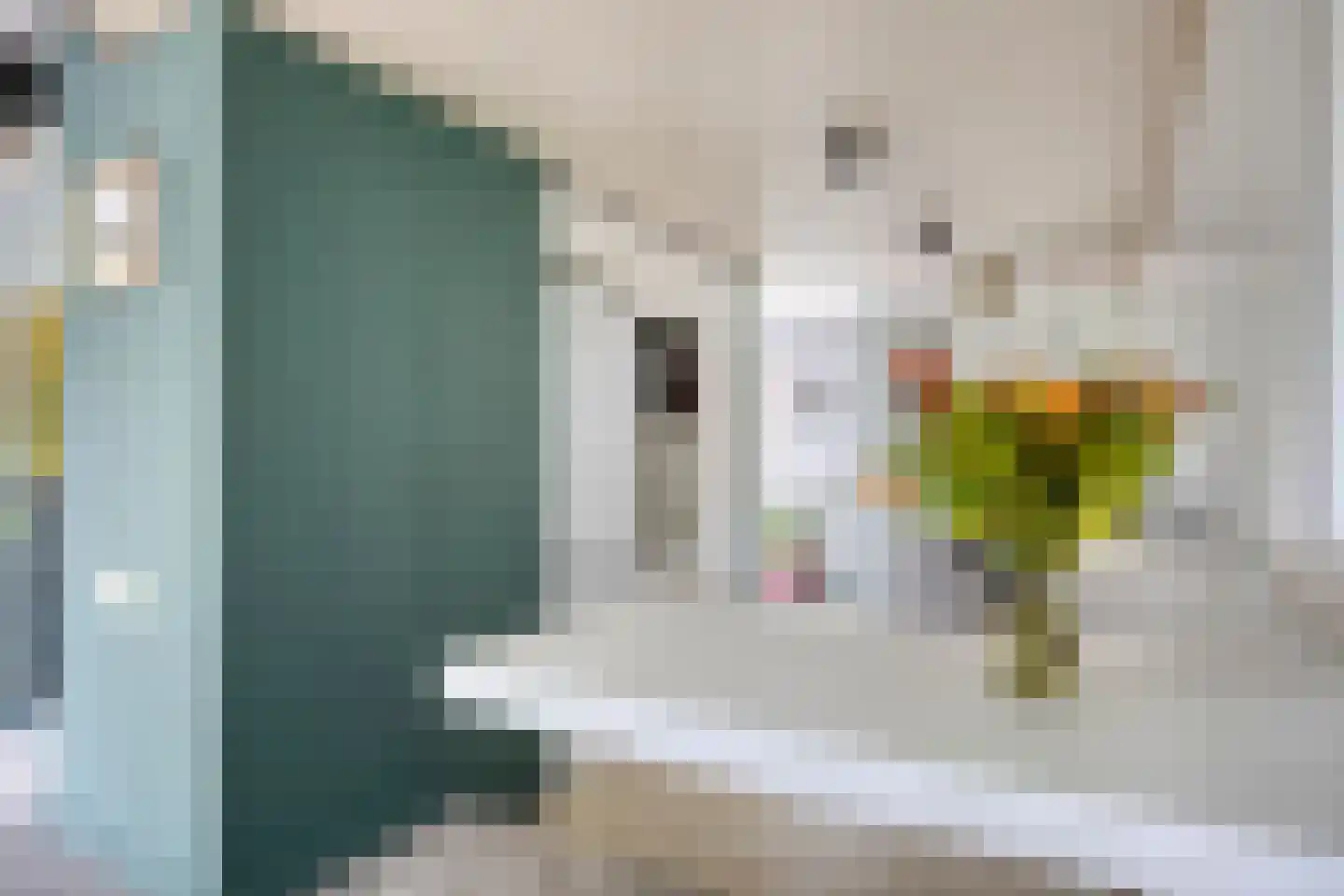Dotterbloemkreek 41 Leiderdorp thumbnail 17