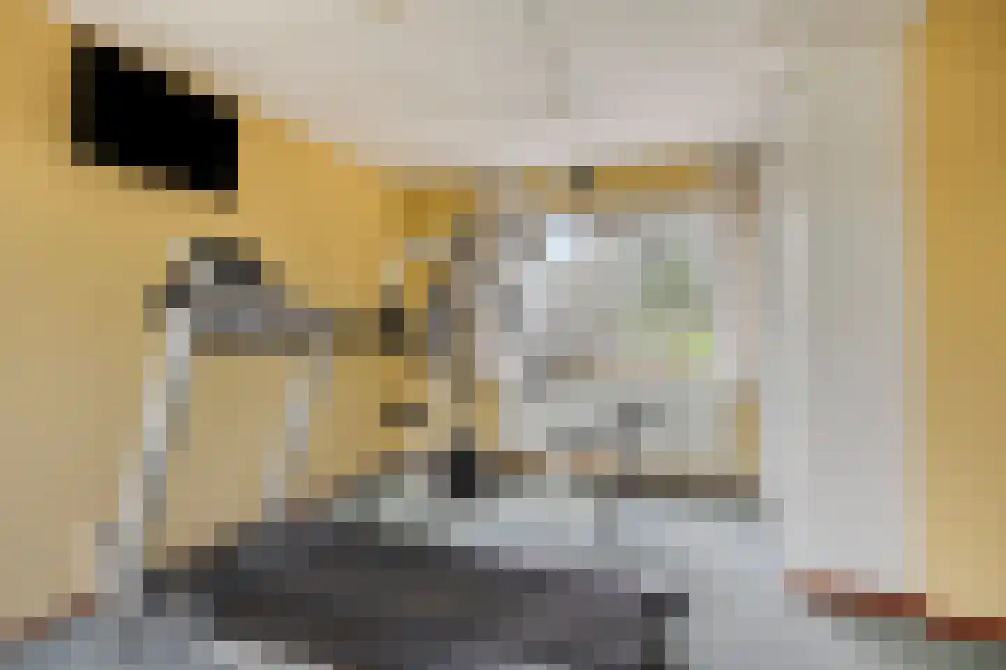 Dotterbloemkreek 41 Leiderdorp thumbnail 35