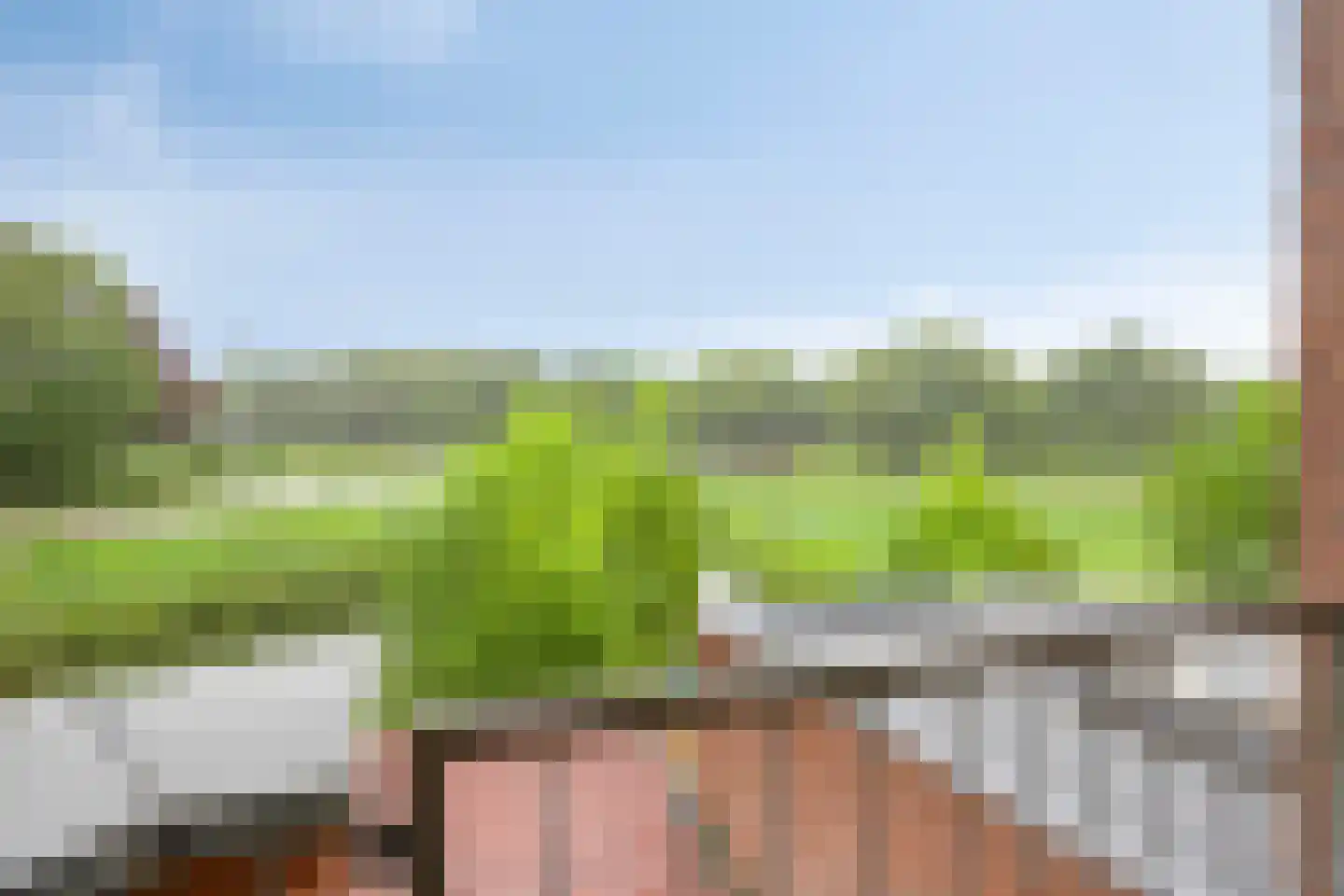 Dotterbloemkreek 41 Leiderdorp thumbnail 38