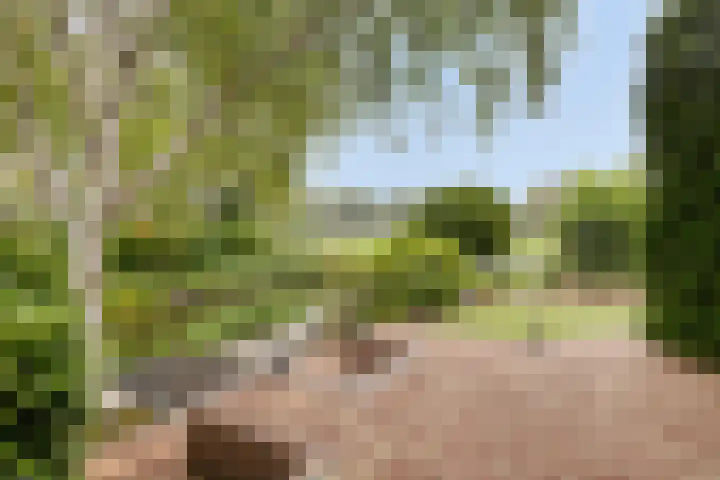 Dotterbloemkreek 41 Leiderdorp thumbnail 4