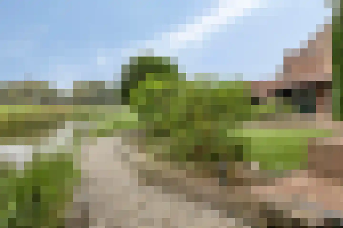 Dotterbloemkreek 41 Leiderdorp thumbnail 57