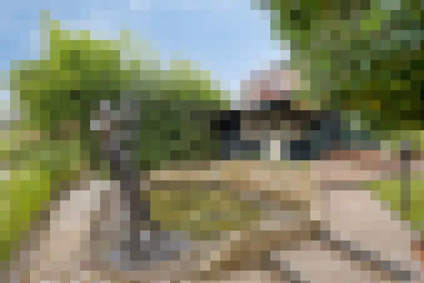 Dotterbloemkreek 41 Leiderdorp thumbnail 58