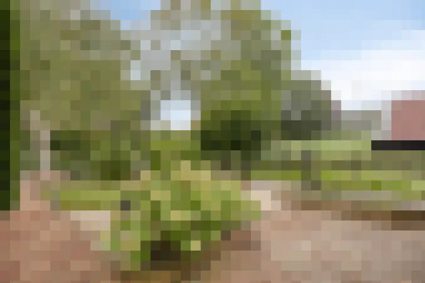 Dotterbloemkreek 41 Leiderdorp thumbnail 60