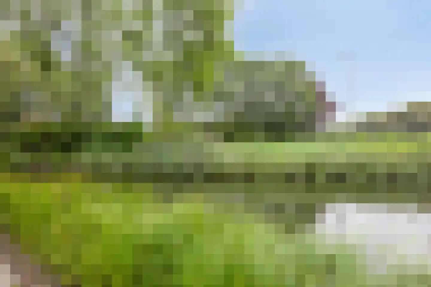 Dotterbloemkreek 41 Leiderdorp thumbnail 61