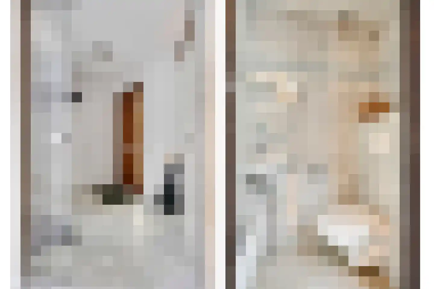 Dotterbloemkreek 41 Leiderdorp thumbnail 7