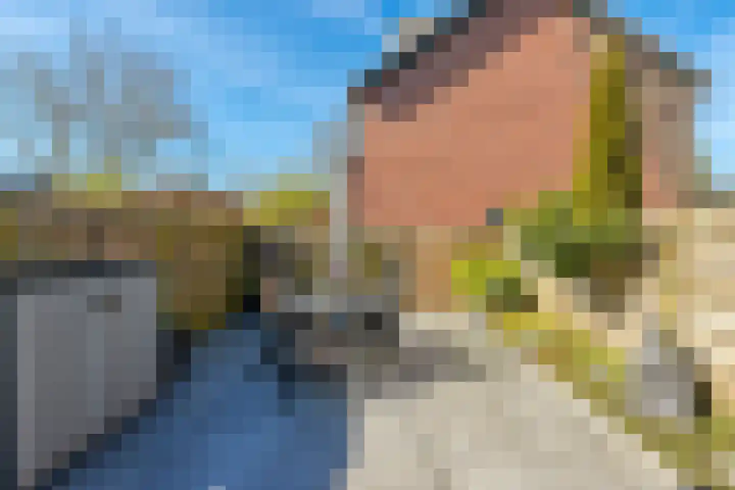 Dotterbloemkreek 56 Leiderdorp thumbnail 18