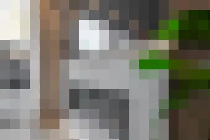 Dotterbloemkreek 78 Leiderdorp thumbnail 16