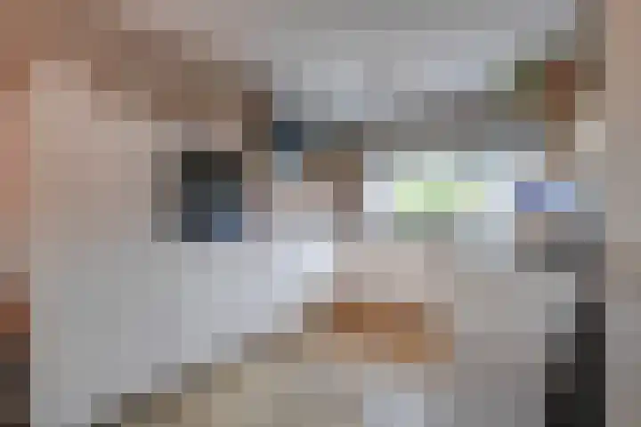 Dotterbloemkreek 78 Leiderdorp thumbnail 17