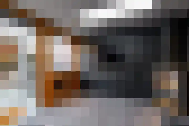 Dotterbloemkreek 78 Leiderdorp thumbnail 25