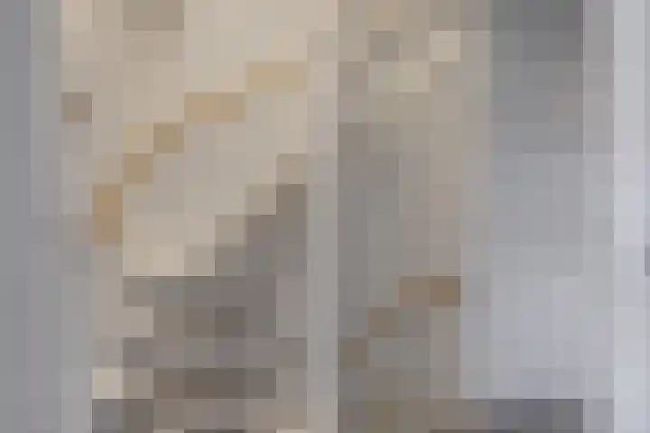Dotterbloemkreek 78 Leiderdorp thumbnail 27