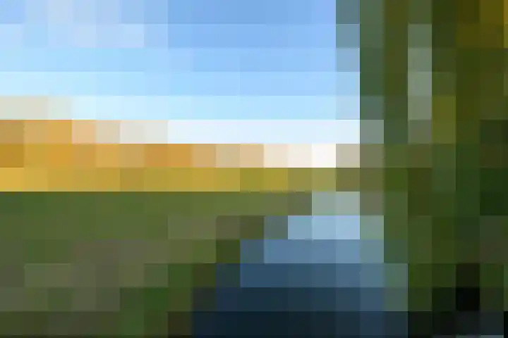 Dotterbloemkreek 78 Leiderdorp thumbnail 47