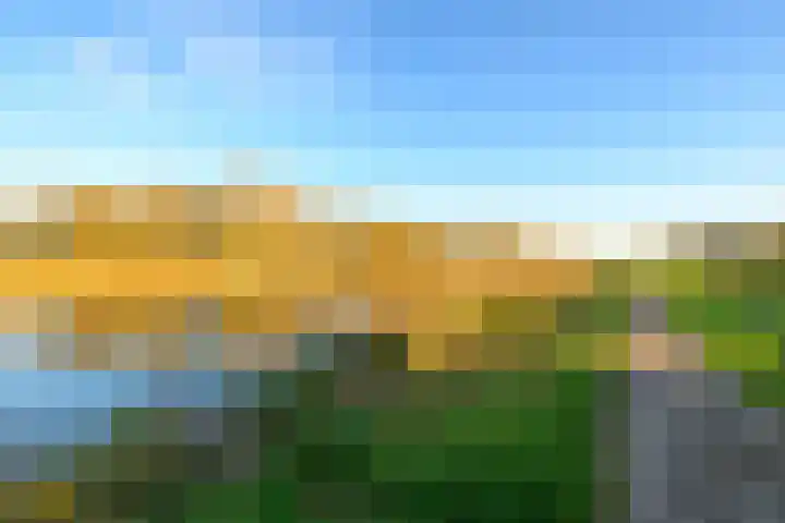 Dotterbloemkreek 78 Leiderdorp thumbnail 48