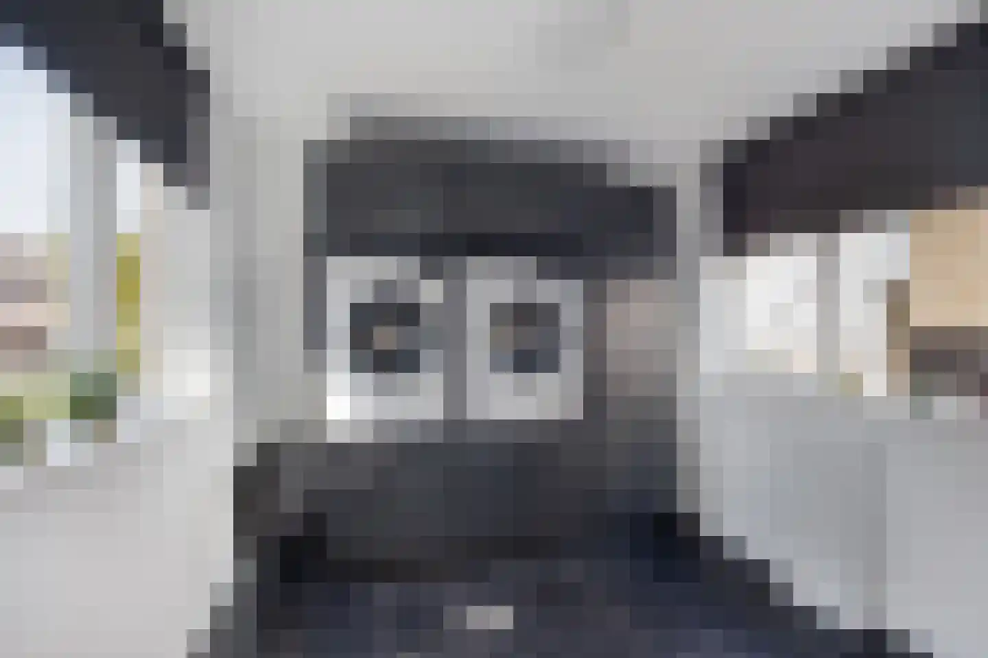 Dotterbloemkreek 81 Leiderdorp thumbnail 10