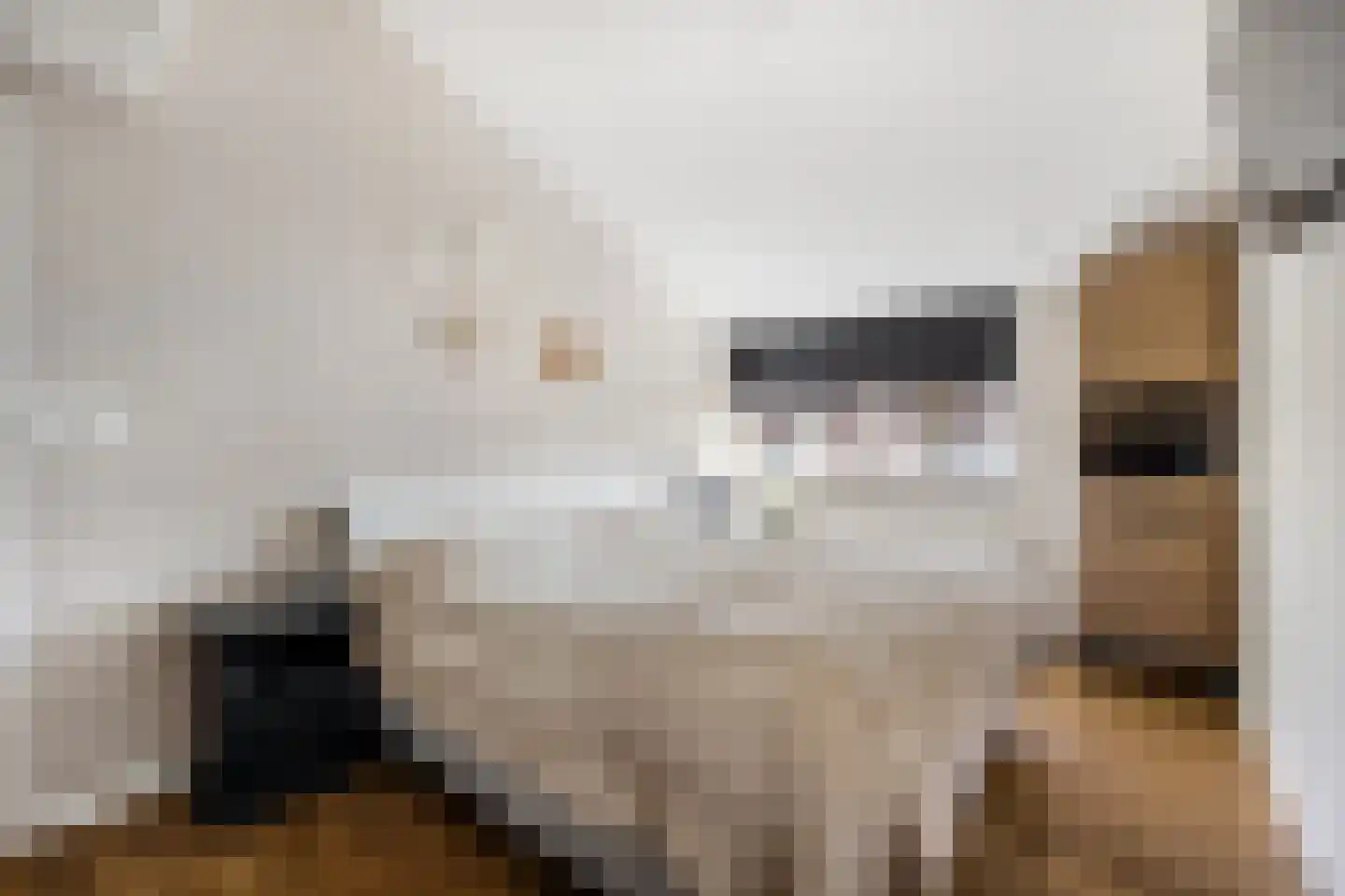 Dotterbloemkreek 81 Leiderdorp thumbnail 13